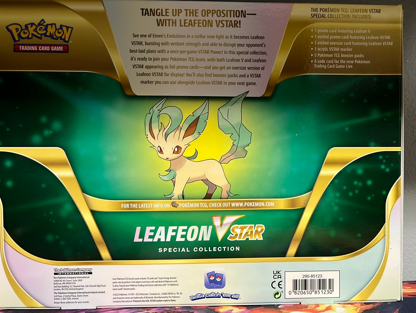 Pokemon TCG Leafeon Vstar box