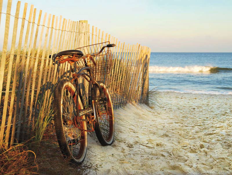 Puzzle: Beach Cruising 550 Piece Puzzle