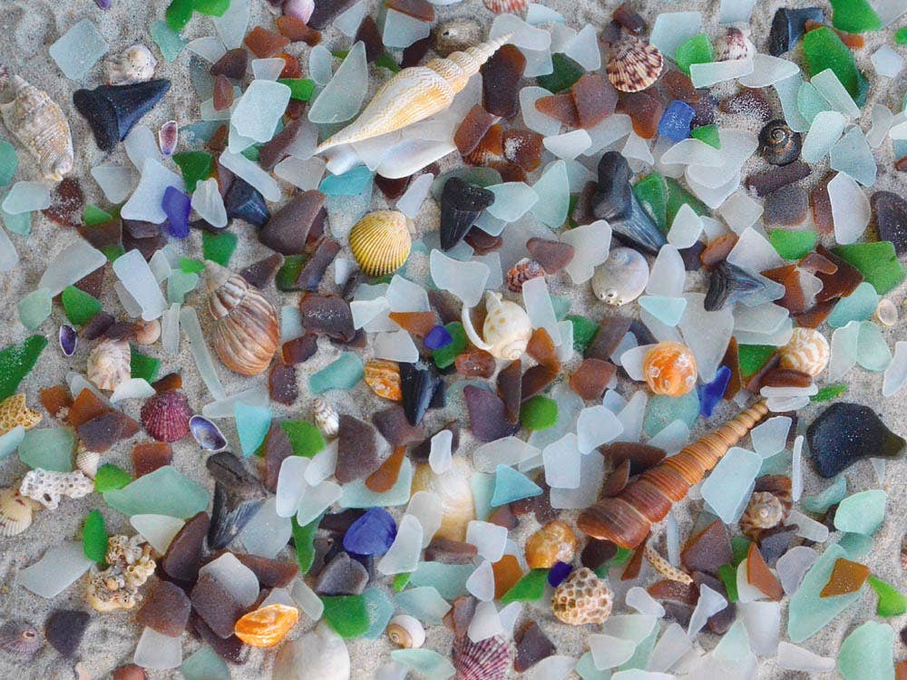Puzzle: Beach Treasure 550 Piece Puzzle