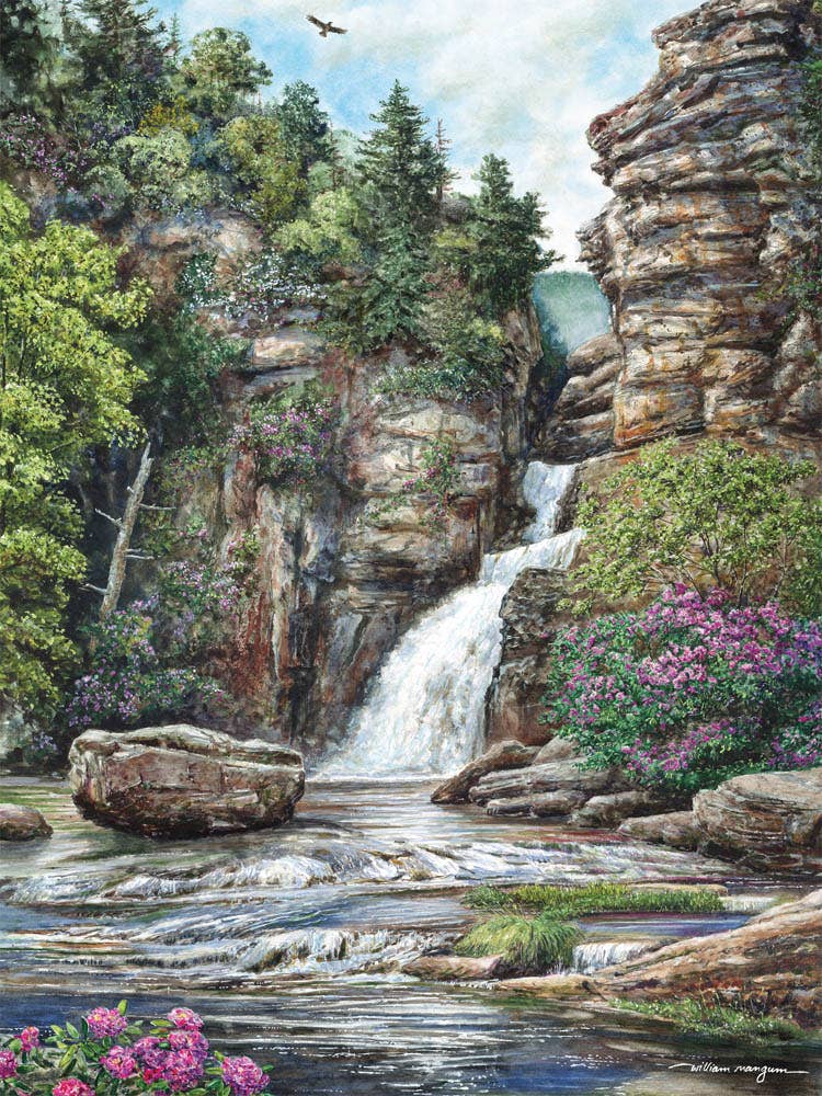 Puzzle: Linville Falls 550 Piece Puzzle