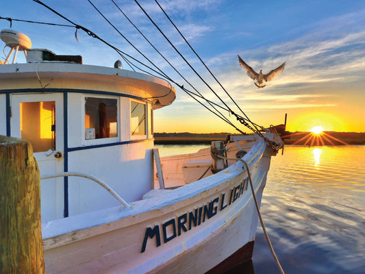 Puzzle: Morning Light 550 Piece Puzzle