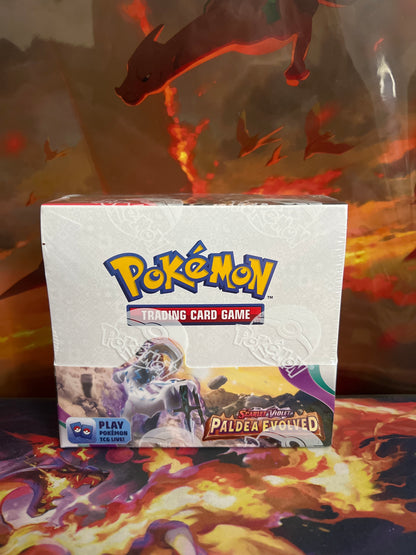 Pokemon Booster Box Collection