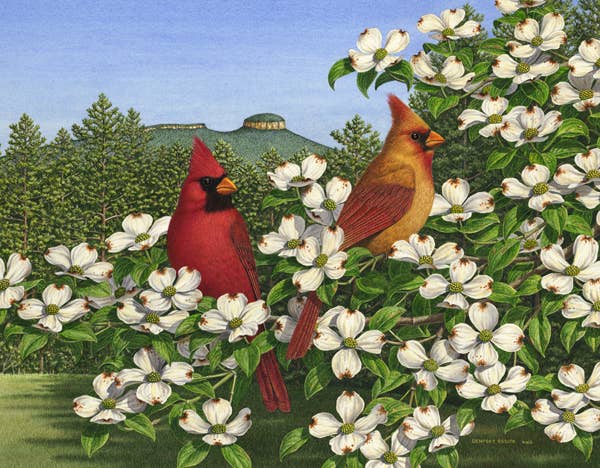Puzzle: Carolina Calling 550 Piece Puzzle