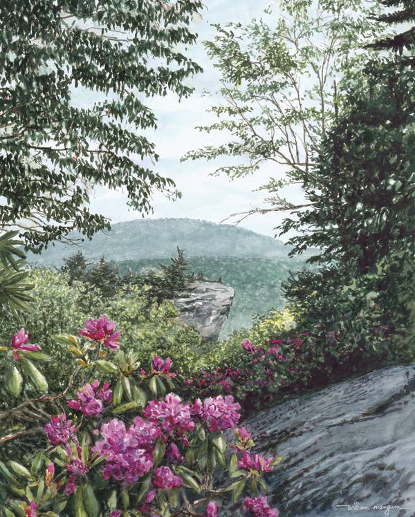Puzzle: Blue Ridge Majesty Puzzle