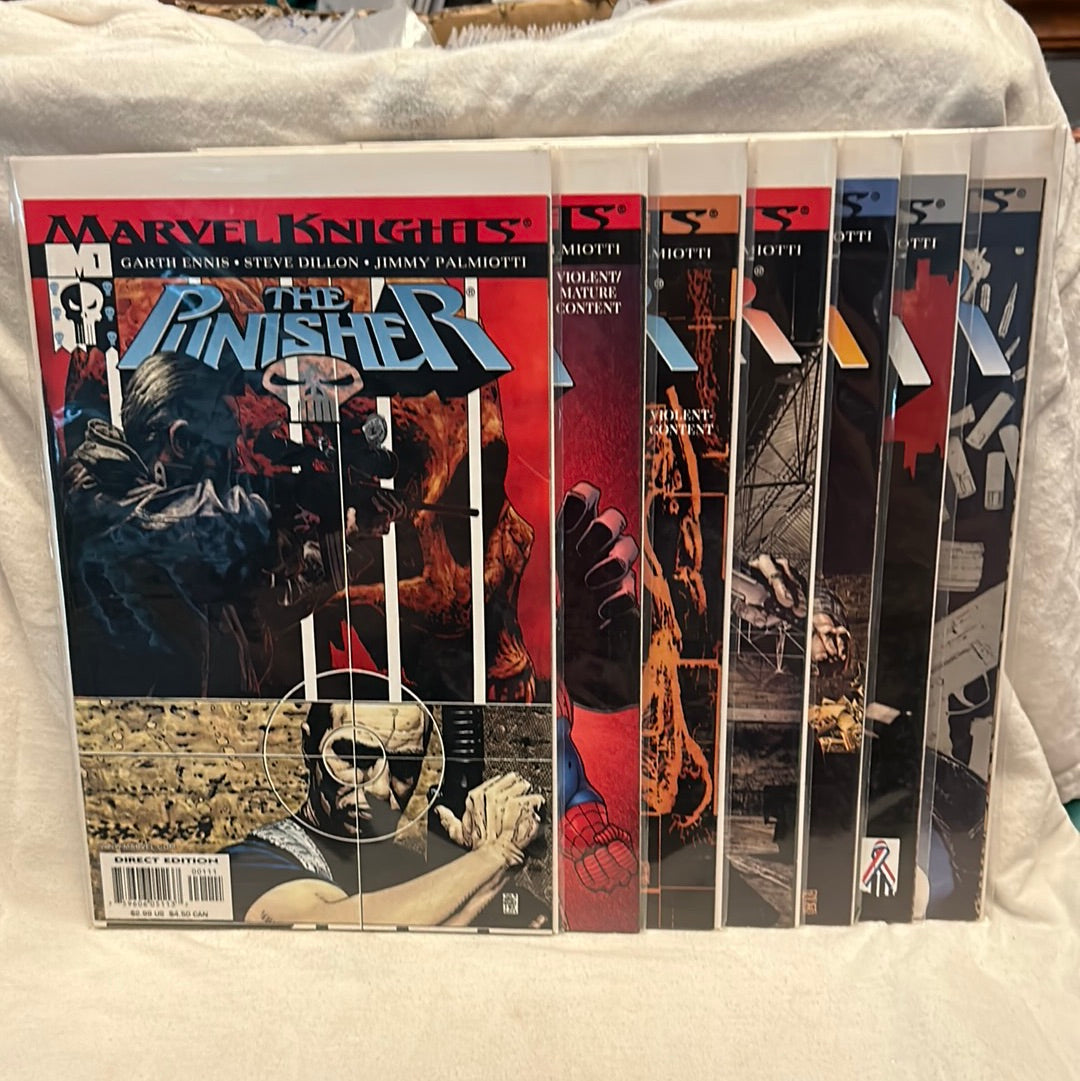 The Punisher Comic Series Marvel Knights (2001)