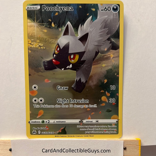 Pokemon TCG Poochyena GG33/GG70